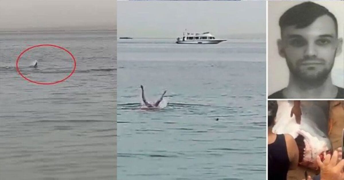 Australian man-shark video