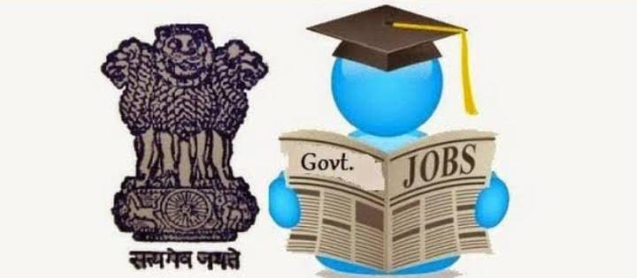 Government Job