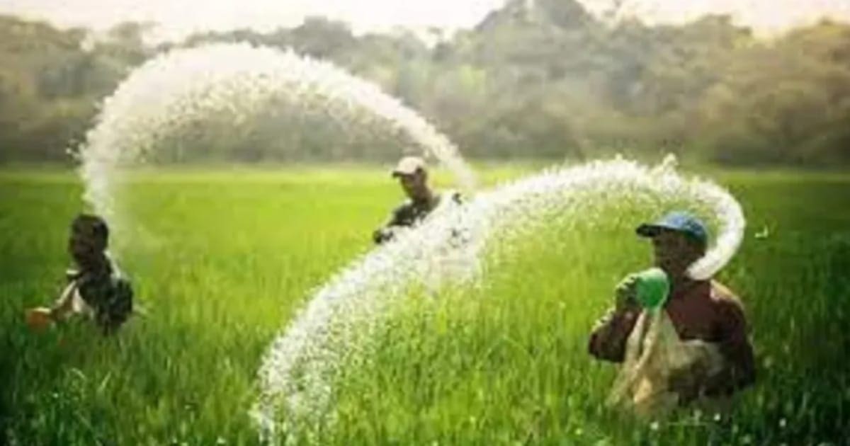 Good News for Farmers