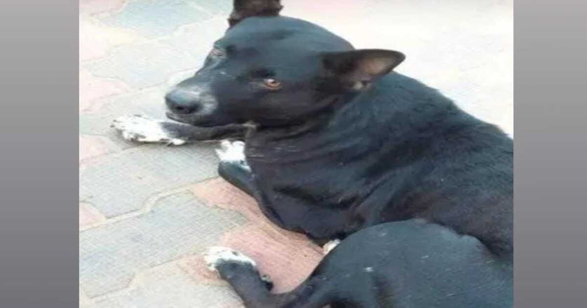 Kukke Subrahmanya Temple