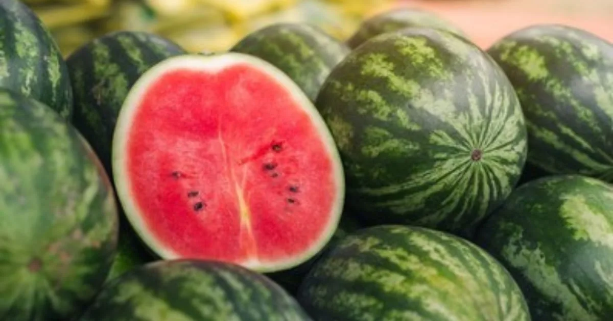 Watermelon