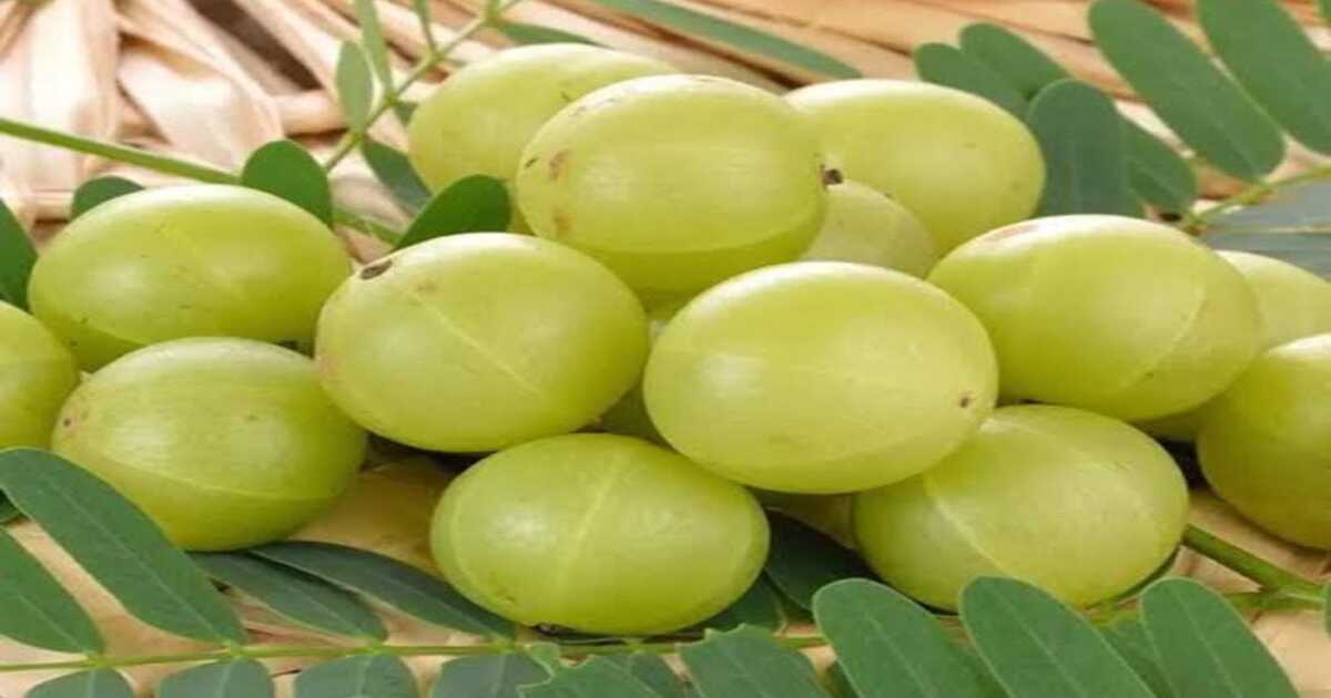 Amla Benefits