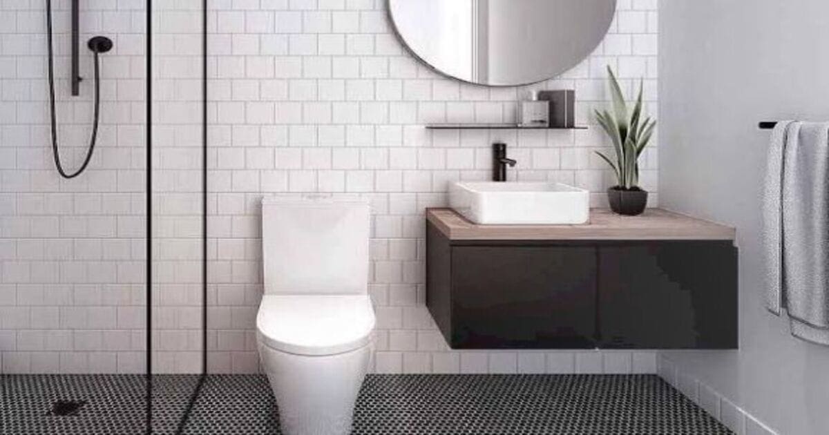 Toilet cleaning Tips