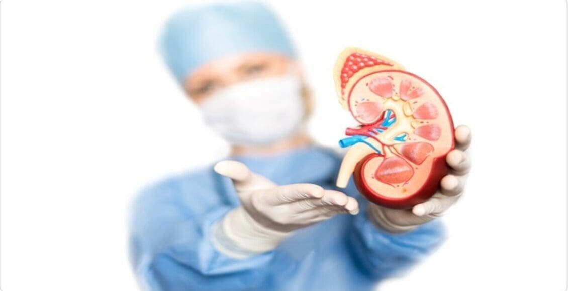 One Kidney