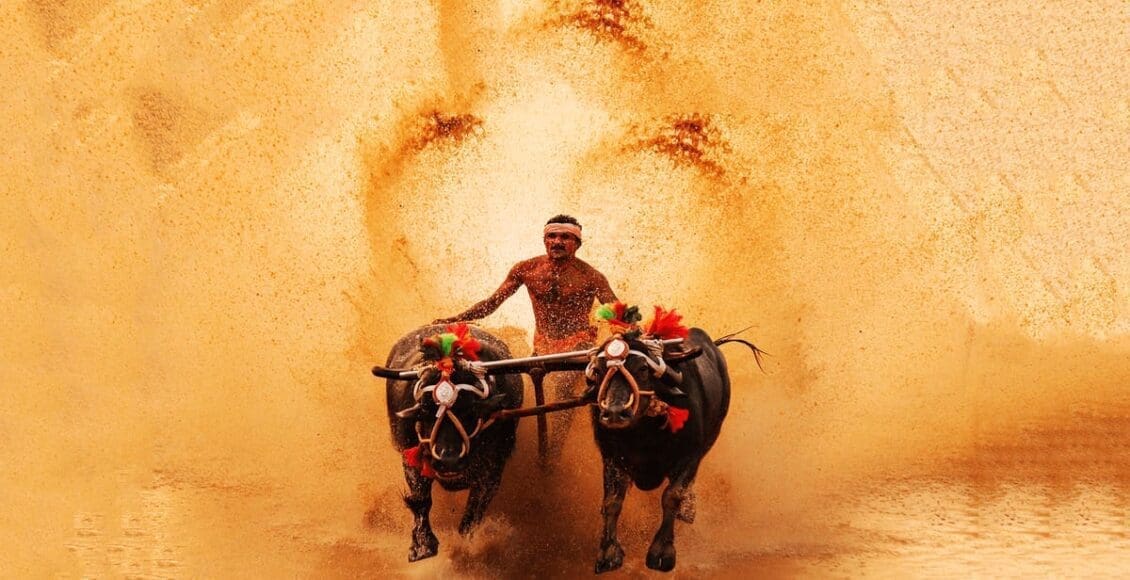 Kambala