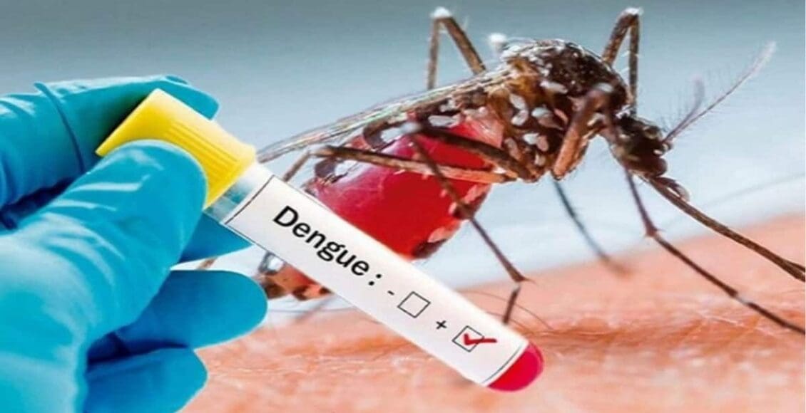 Dengue Recovery Diet